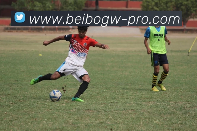 火箭队控卫引援建议解析霍勒迪保罗莫兰特特雷杨谁最合适